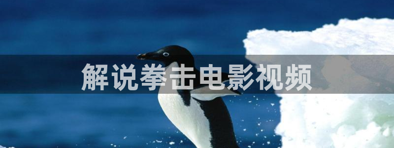 神马免费电影在线看