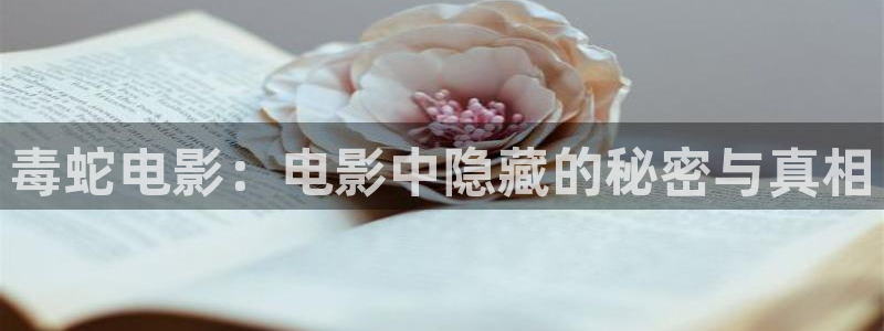 达达兔神马电影小蝌蚪：毒蛇电影：电影中隐藏的秘密与真相