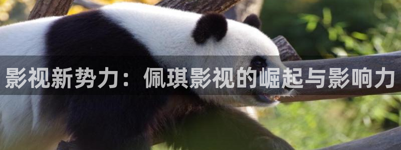 神马视频在线