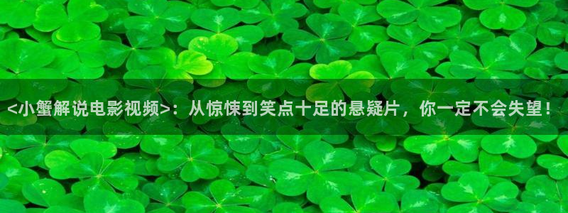 神马影视网伦理片