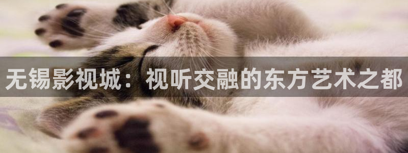 妈妈的朋友3神马电影