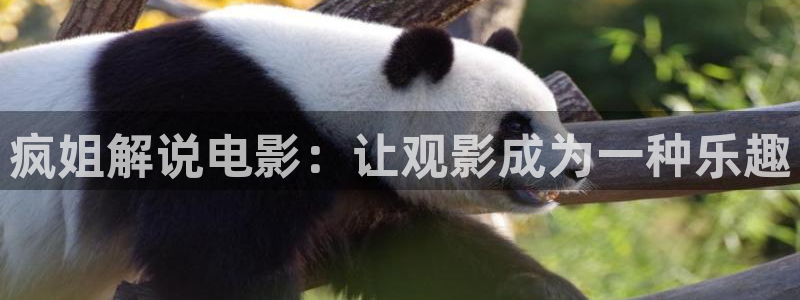手机在线观看神马电影