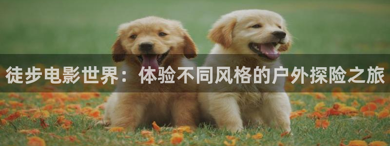 神马不卡影院在线影院