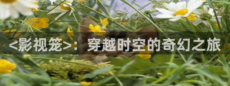 神马电影院光棍