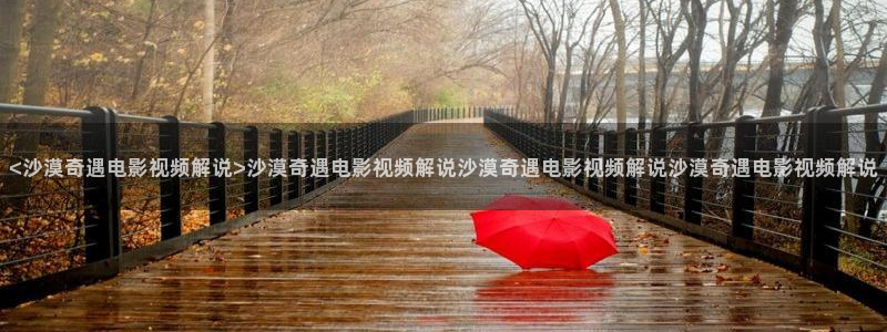 神马午夜影院大全