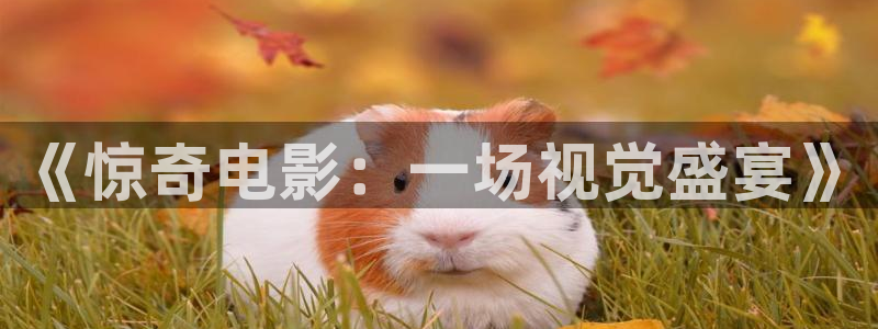 神马电影院`