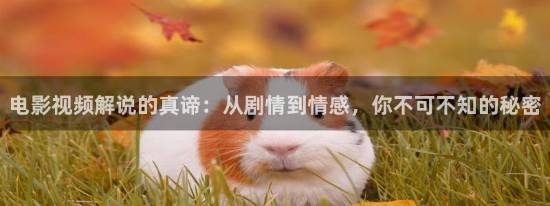 神马影院在线播放观看