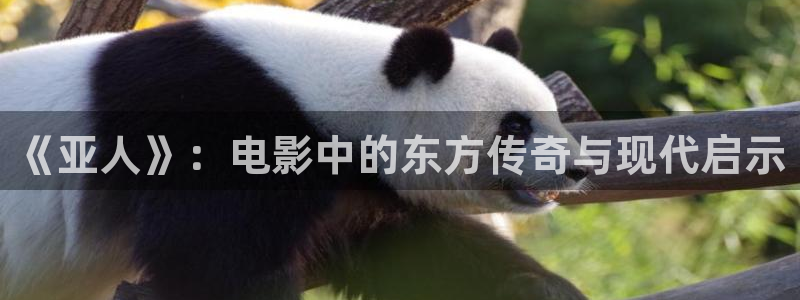 无敌神马影视在线观看在线