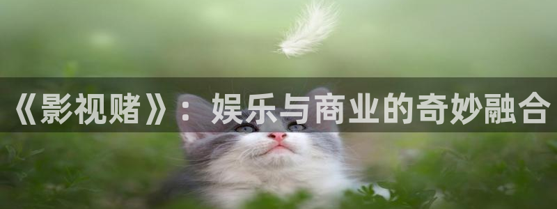 神马影院神马