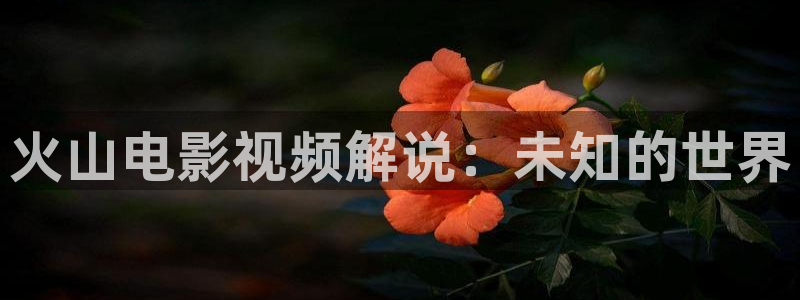 神马电影午夜剧场